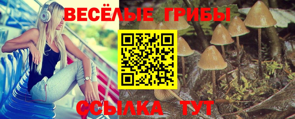 Кизилюрт  Галлюциногенные грибы мицелий  Вход с VPN 