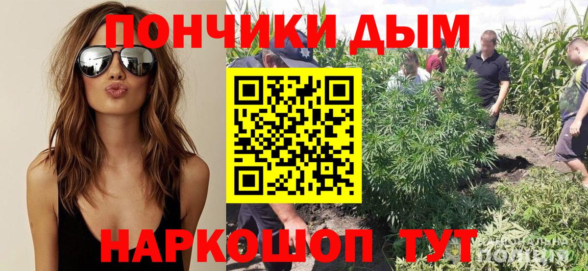 Марихуана марихуана  Вход с VPN  Бошки Шишки гибрид  Кизилюрт  Шишки марихуана план 